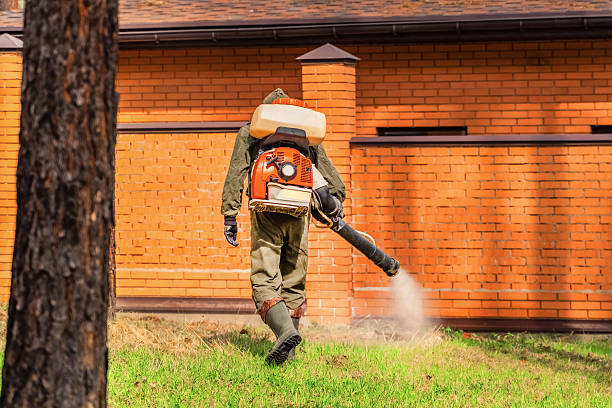 Bed Bug Clearance Verification and Documentation in Mansfield